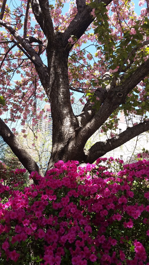 Patient image of: Nancy Levine