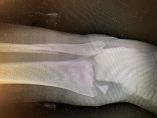 Patient image of: Juliana Wilson