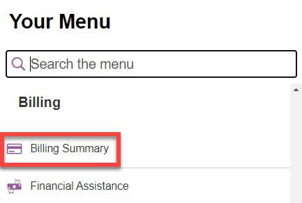 MyHSS billing summary