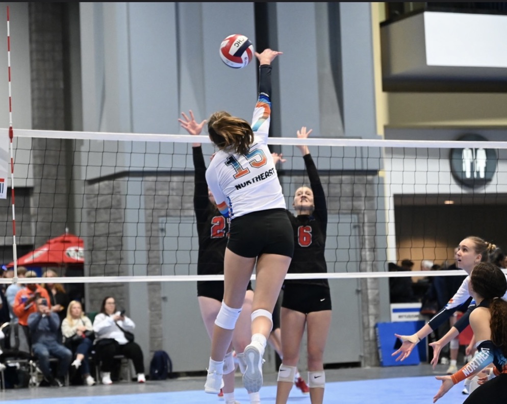 Amanda Meschi