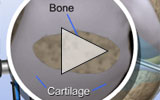 Icon image for the animation video.