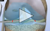 Video icon
