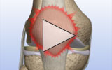 Icon image for the animation video.