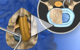 Video icon