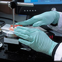 Arthritis and Tissue Degeneration Program