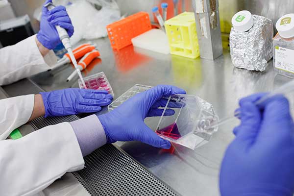 Biomaterial