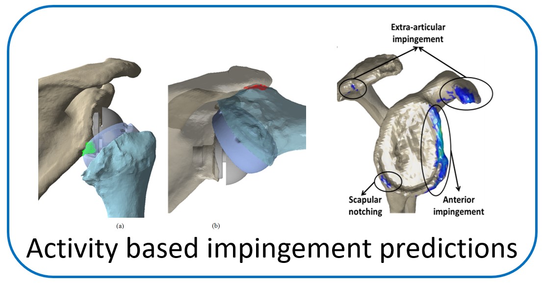 Shoulder research 3