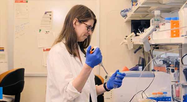 HSS research fellow