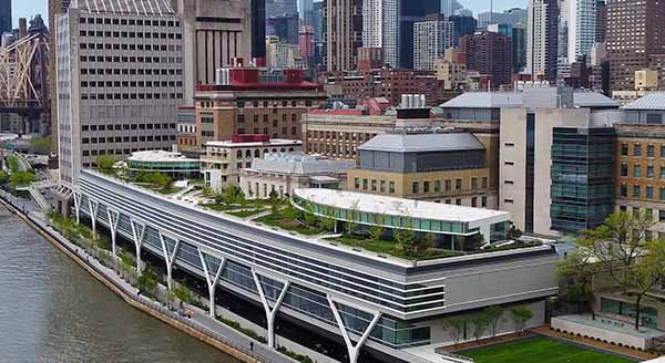 The Rockefeller University