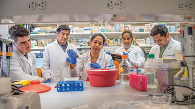 HSS Researchers