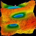 Musculoskeletal Integrity Program