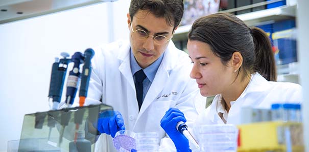image of people doing research