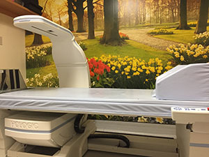 A DXA scanner.