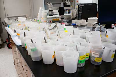 ARJR Research Pic 1