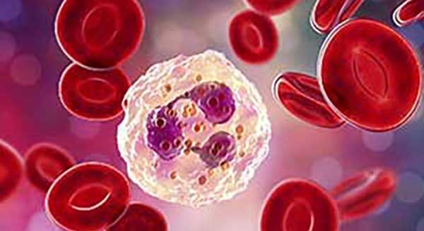 Regenerative Medicine