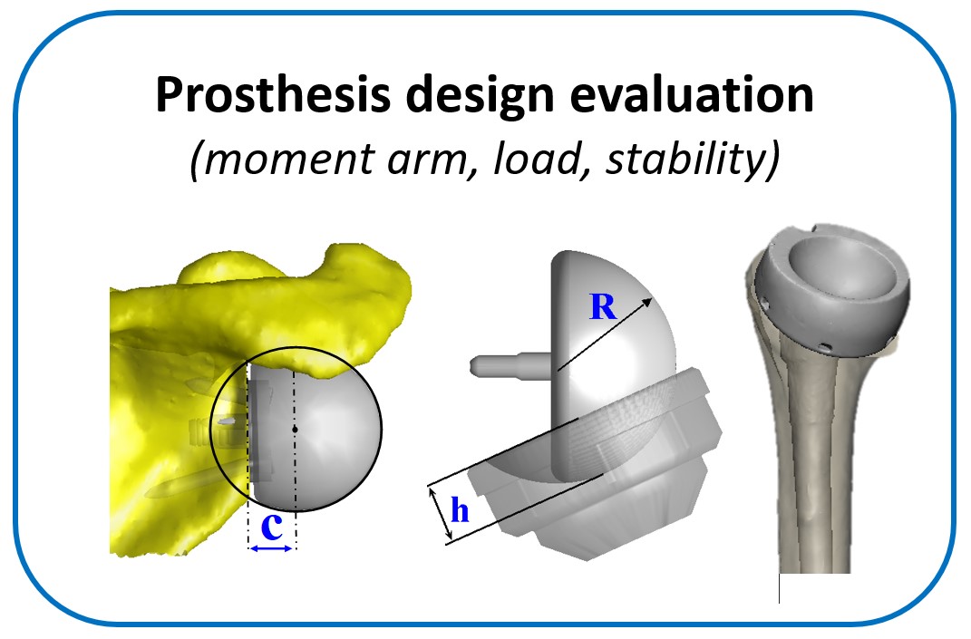 Shoulder research 2