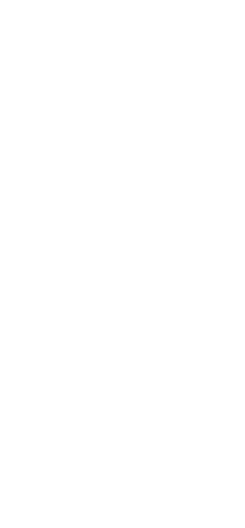 skeleton icon