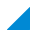 triangle icon
