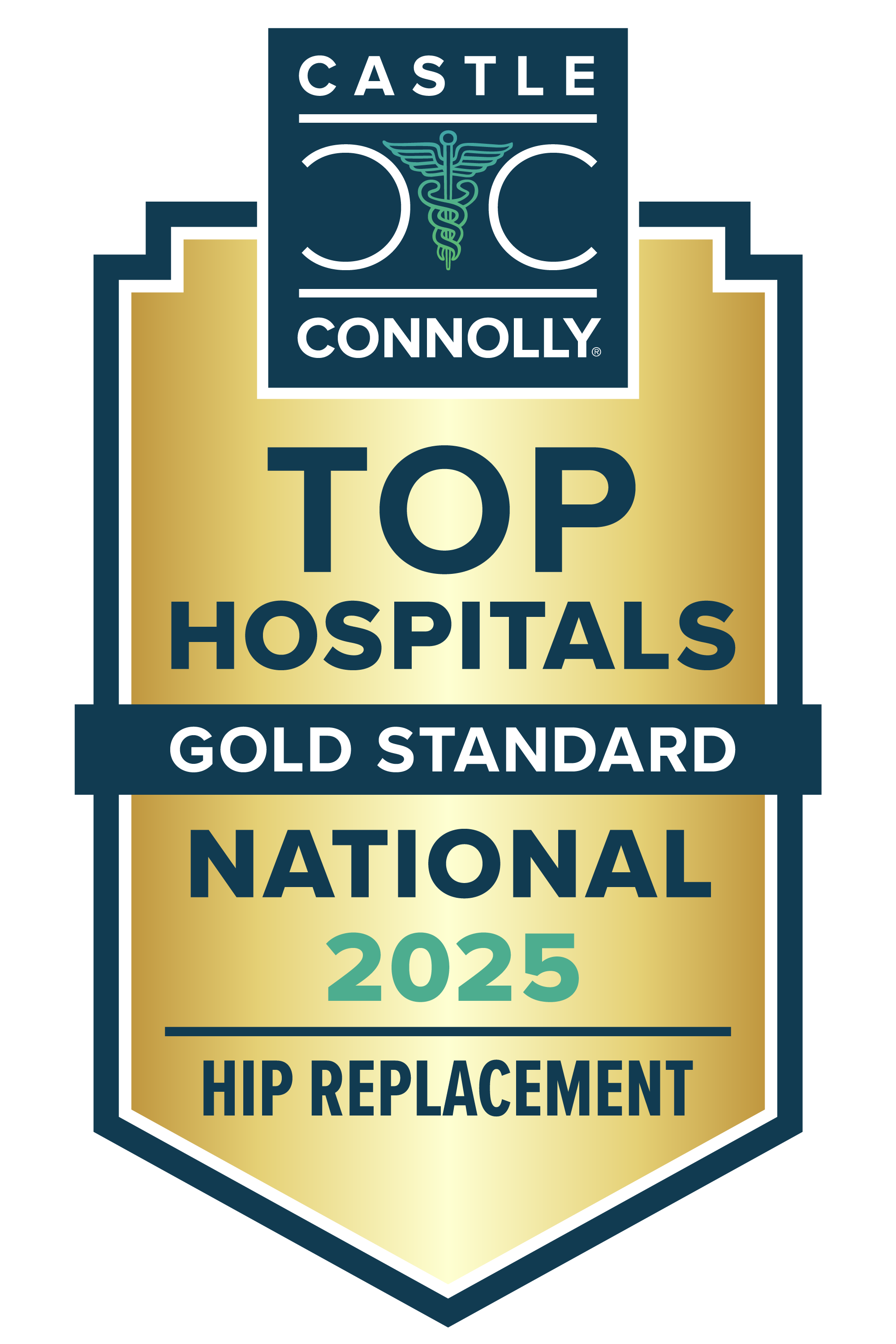 Castle Connolly hip replacement badge