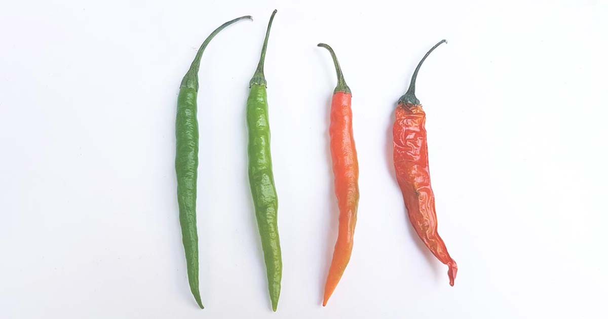 Image - photo for Can Capsaicin Cream Help Joint Pain?