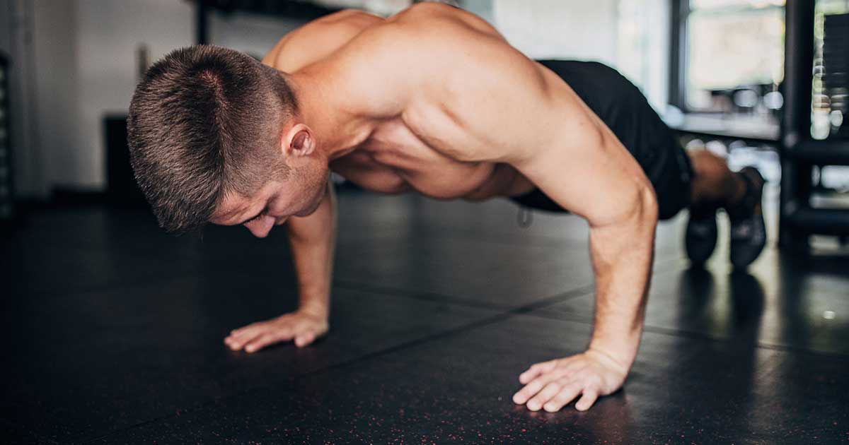Image - photo for A Guide to Your Chest Muscles: Anatomy and Exercises