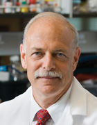 Photo of Dr. Goldring